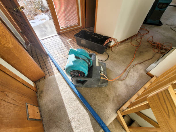 Best Local water damage restoration  in Moosic, PA