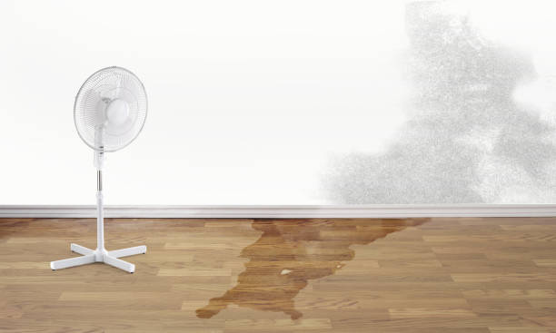 Best Flood restoration services  in Moosic, PA