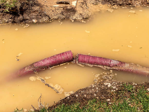 Best Mold removal after water damage  in Moosic, PA