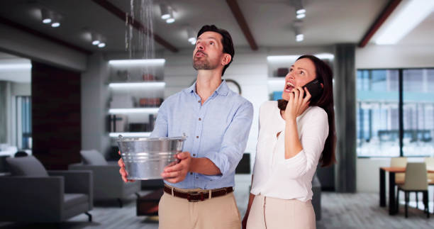 Best Flood damage cleanup  in Moosic, PA
