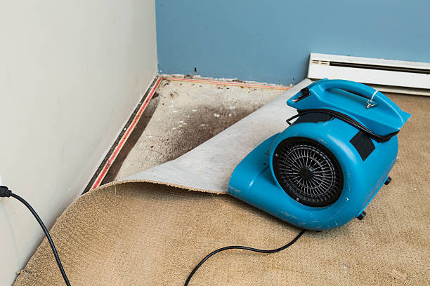 Best 24-hour water damage restoration  in Moosic, PA
